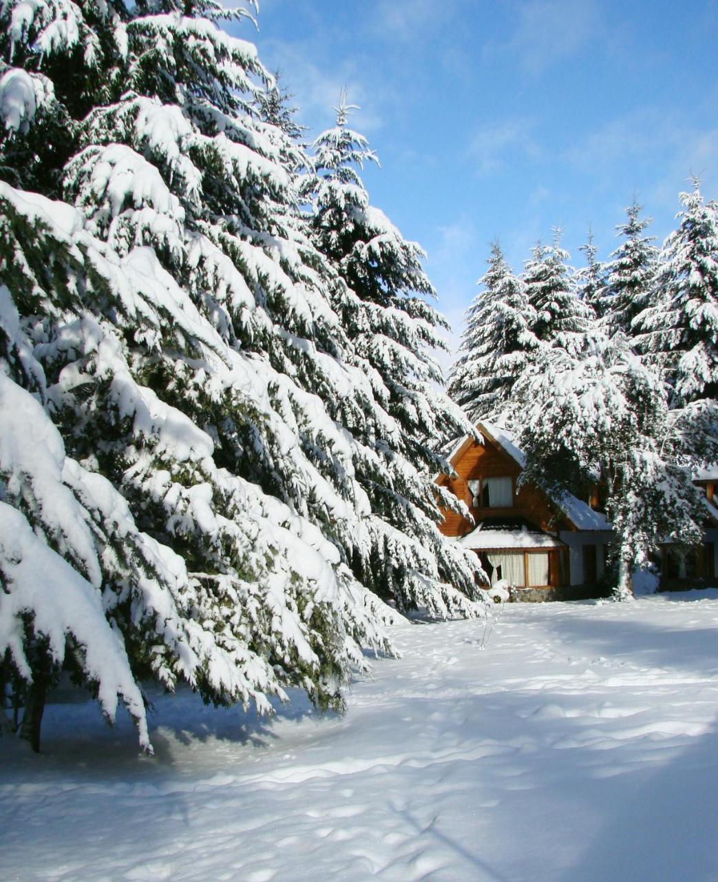 Alamos De Meli Tue Villa Puerto Manzano Екстериор снимка